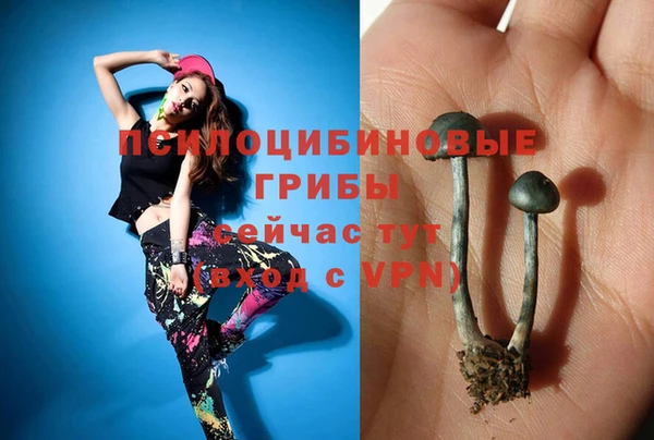 apvp Алзамай