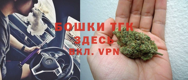 apvp Алзамай