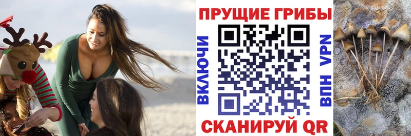 Галлюциногенные грибы мухоморы  blacksprut   Звенигород 