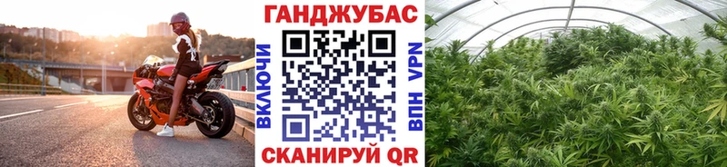 Канабис MAZAR  купить   Звенигород 